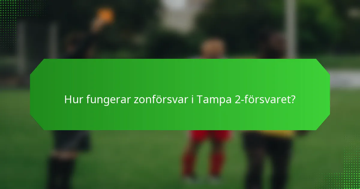 Hur fungerar zonförsvar i Tampa 2-försvaret?
